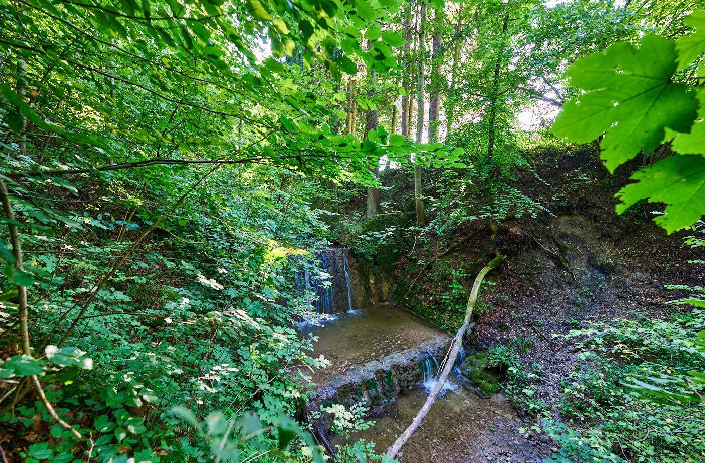 Anwesen mit Baupotenzial und Privatwald – Miesbach – Vorschaubild 9