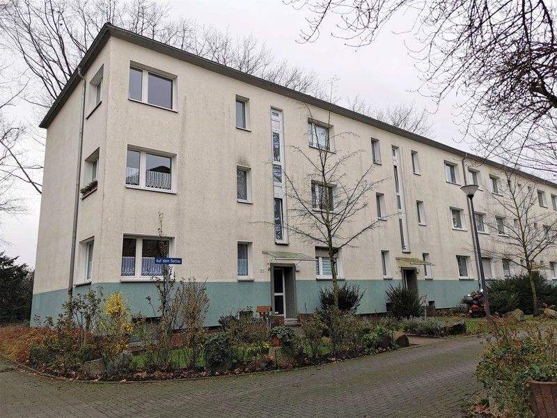 Top 2,5-Zi.-Whg. in ruhiger Sackgasse und Stadtnähe – Gelsenkirchen – Vorschaubild 7
