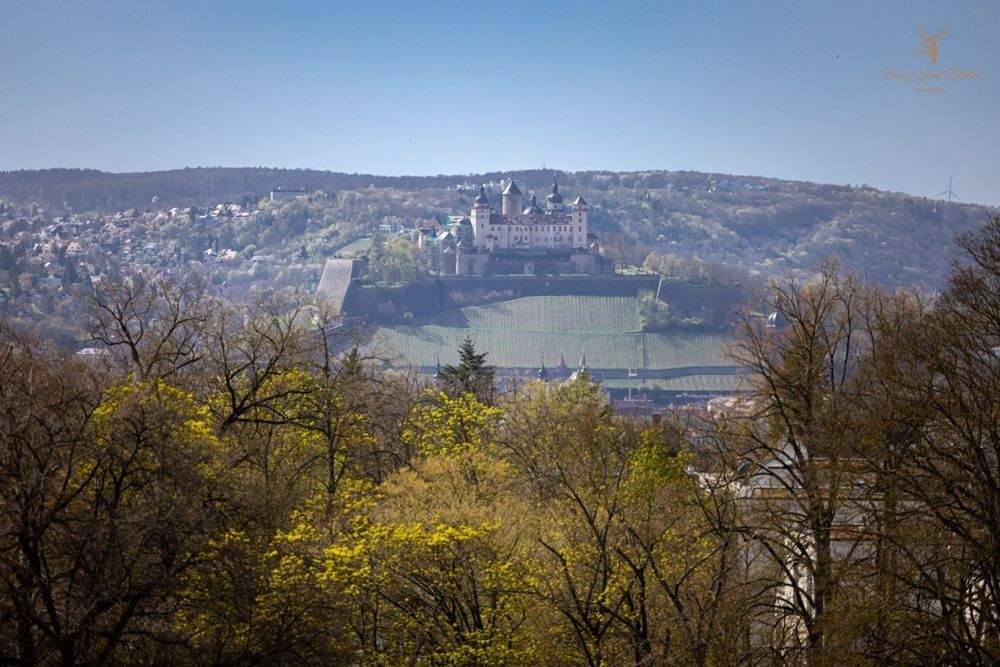 Exklusives Penthouse mit Rooftop-Lounge & Festungsblick am Hubland (Bj .2023 + Aufzug) – Würzburg – Vorschaubild 4