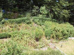 Gemütliche Single-Whg. mit Gartenoase! – 58515 Lüdenscheid – Vorschaubild 3