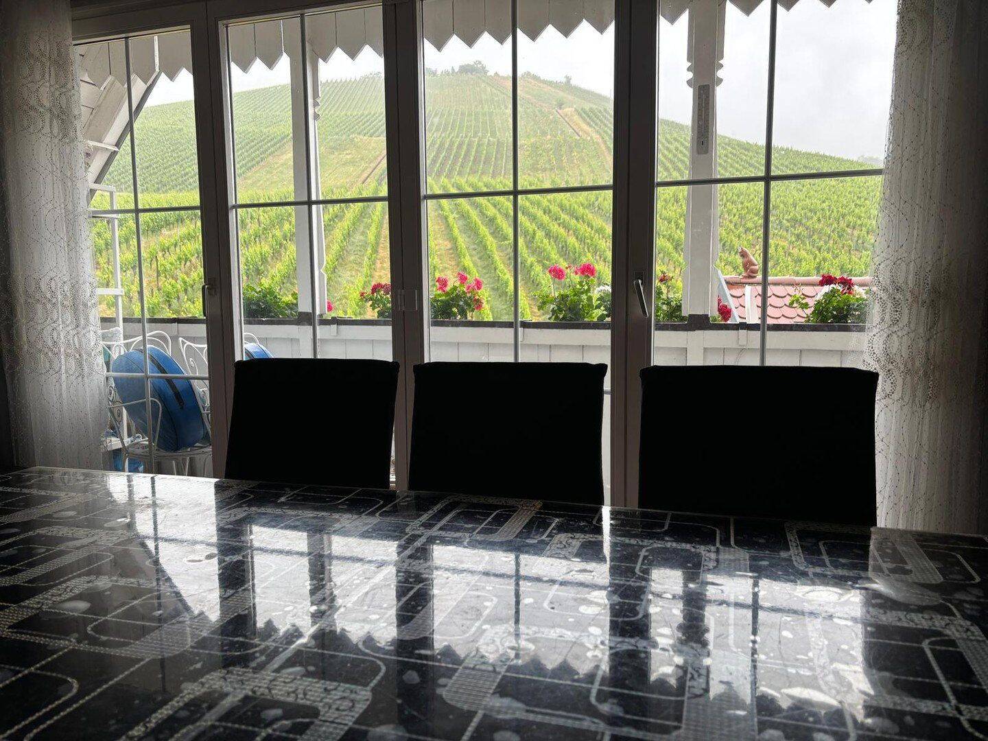 Provisionsfrei! Panoramablick direkt an den Weinbergen Untertürkheims – Stuttgart – Vorschaubild 3