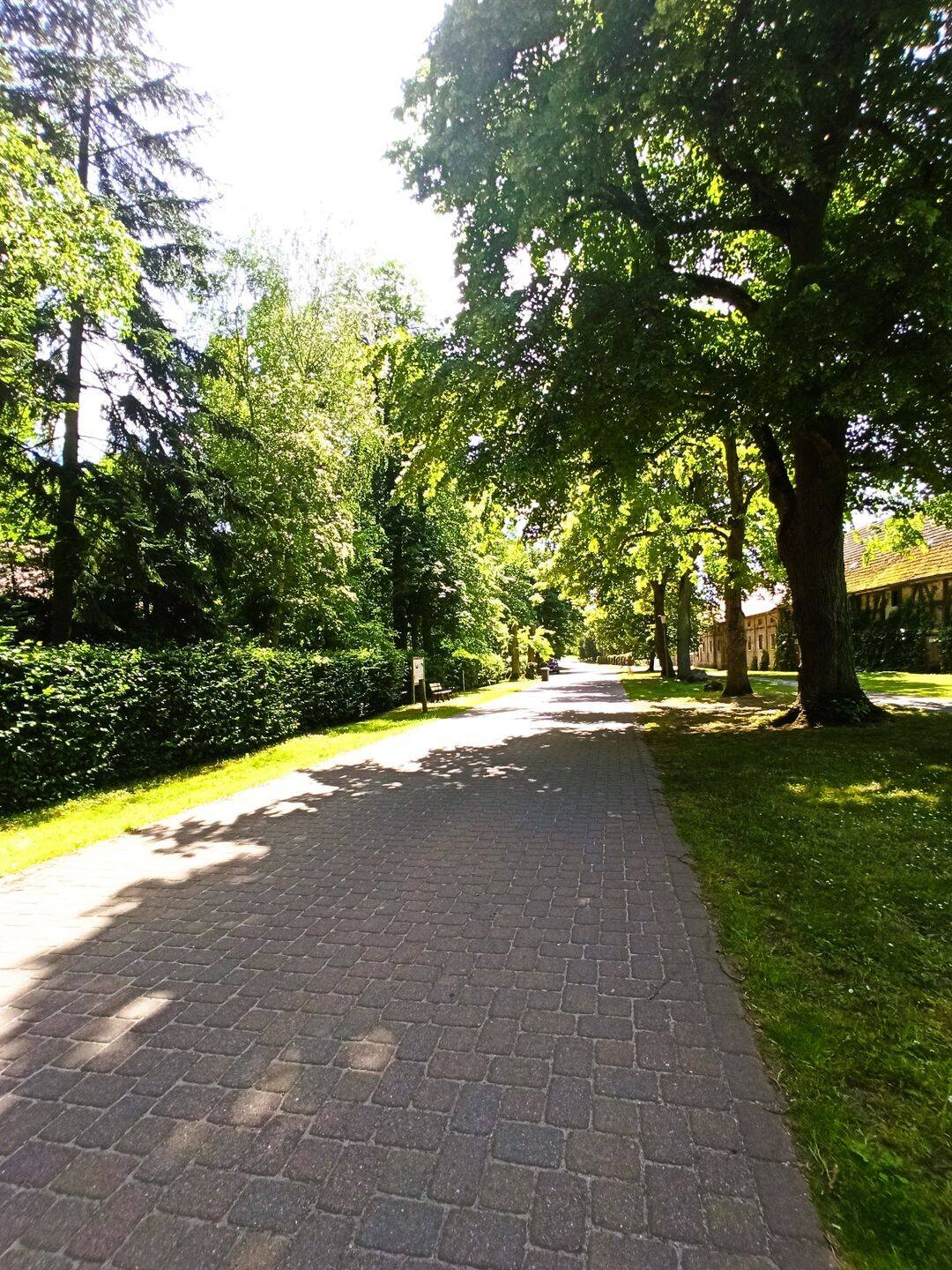 EINFAMILIENHAUS AUF GROSSEM GRUNDSTÜCK IN HOPPENRADE – Löwenberger Land – Vorschaubild 2