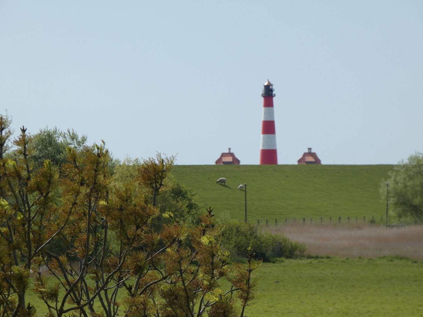 Haubarg auf hoher Warft an der Nordsee, Ausbau möglich – Westerhever – Vorschaubild 8