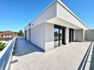 Exklusive 2,5- Zimmer- Penthouse-Wohnung mit herrlichem Alpen- und Seeblick