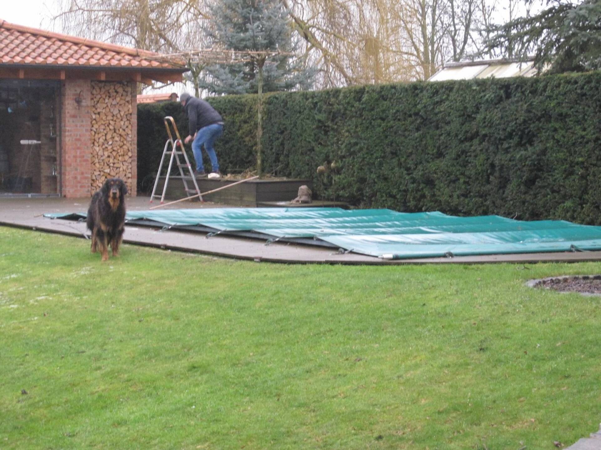 Haus in 39418 Staßfurt mit 230,1 m² kaufen