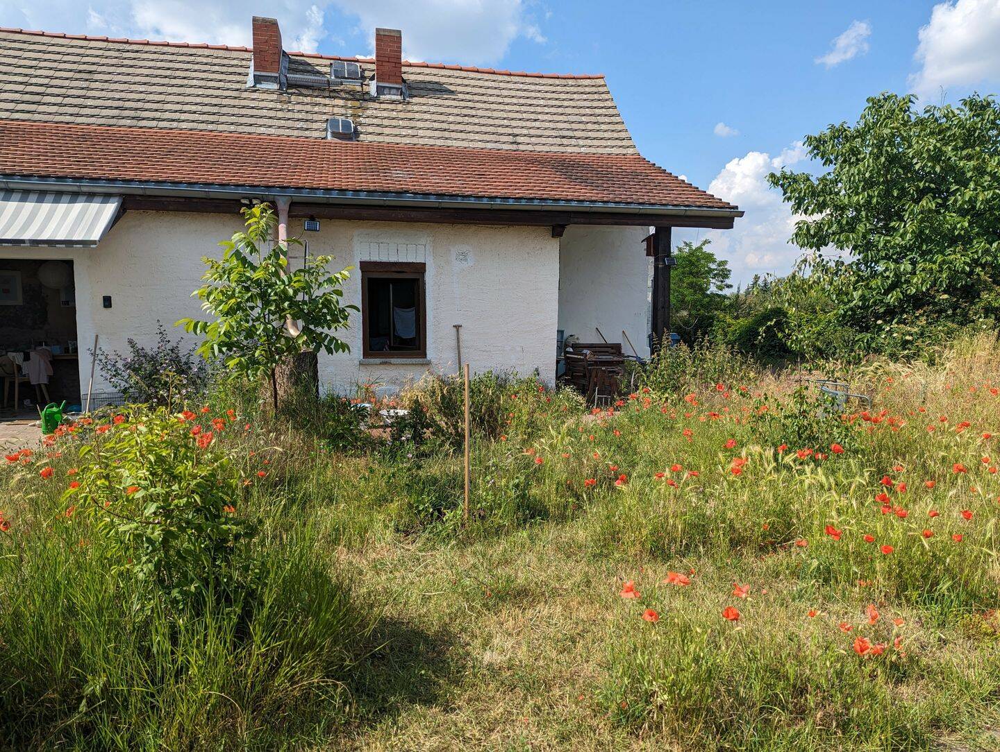 Idyllisch gelegenes Bauernhaus. Perfekt als Wochenend- oder Sommerhaus. – Könnern – Bild 1 von 9