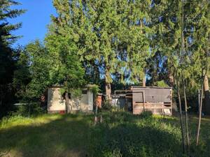 Familienidyll am Tegeler Fließ - Ihr Zuhause im Grünen – 13467 Berlin – Vorschaubild 7