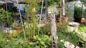 Weserblick, Holzcharme und großzügige Terrassen für Genussmomente in Bodenwerder – 37619 Bodenwerder – Vorschaubild 9