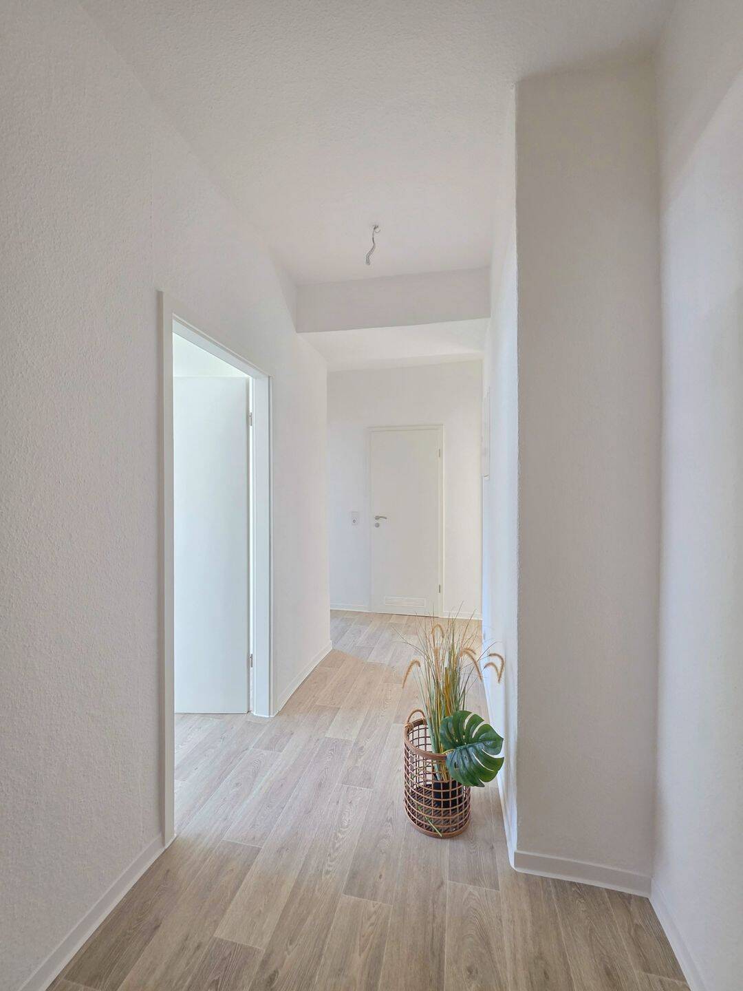 grün wohnen - zentral leben - ihr neues Zuhause in der Alten Neustadt – Magdeburg – Vorschaubild 2