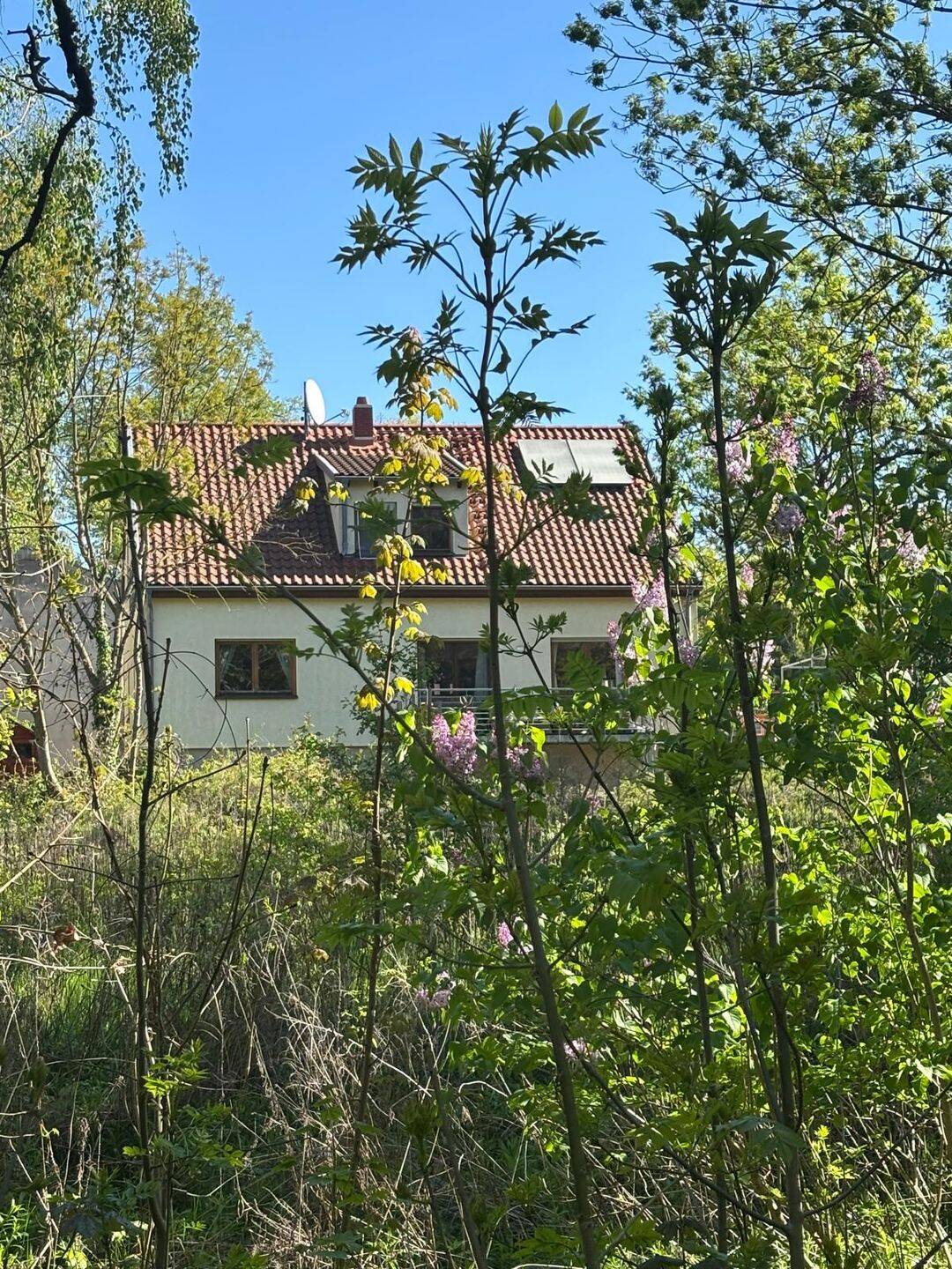 Unverbaubarer Gartenblick mit großem Haus/Mehrfamilienhaus in Berlin – Berlin – Vorschaubild 3
