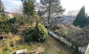 Charmantes im Villenviertel – 53173 Bonn – Vorschaubild 7
