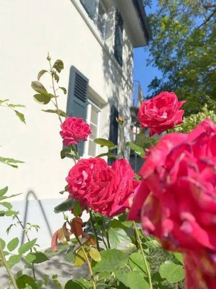 Sanierte Landhausvilla – großes Grundstück – Wiesbaden – Vorschaubild 2