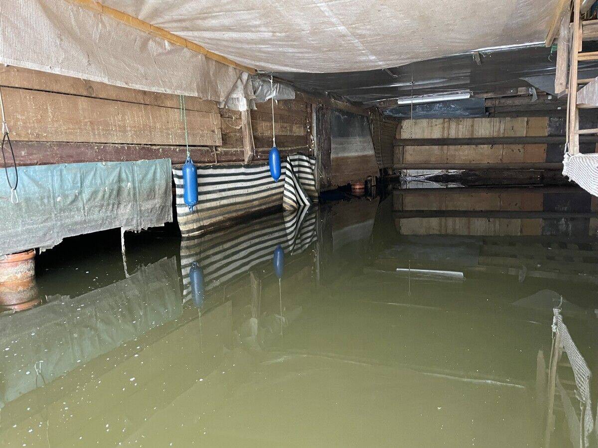Bootshaus mit Liegeplatz in idyllischer Lage an der Peene – Verchen – Vorschaubild 7