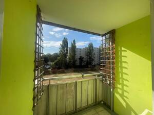 Lass´ die Sonne rein ... gemütliches Appartement mit Loggia & TG Stellplatz – 51143 Köln – Vorschaubild 7