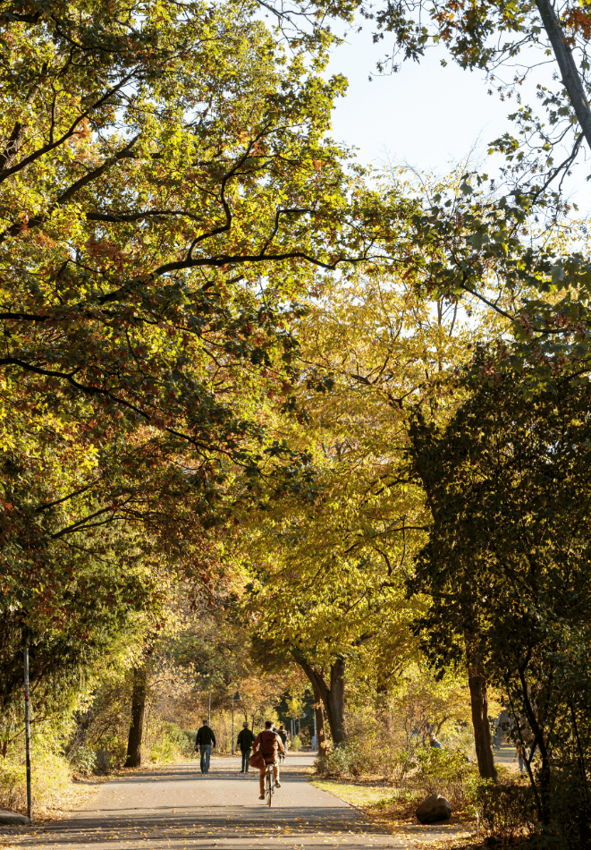 Vermietete 3-Zi-Wohnung mit privater Dachterrasse und traumhaften Blick auf den Volkspark Hasenheide – Berlin – Vorschaubild 7