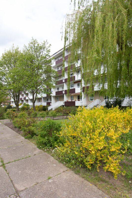 Frisch saniert zum 15.08.2026 - nur noch packen und umziehen. – Magdeburg – Vorschaubild 3