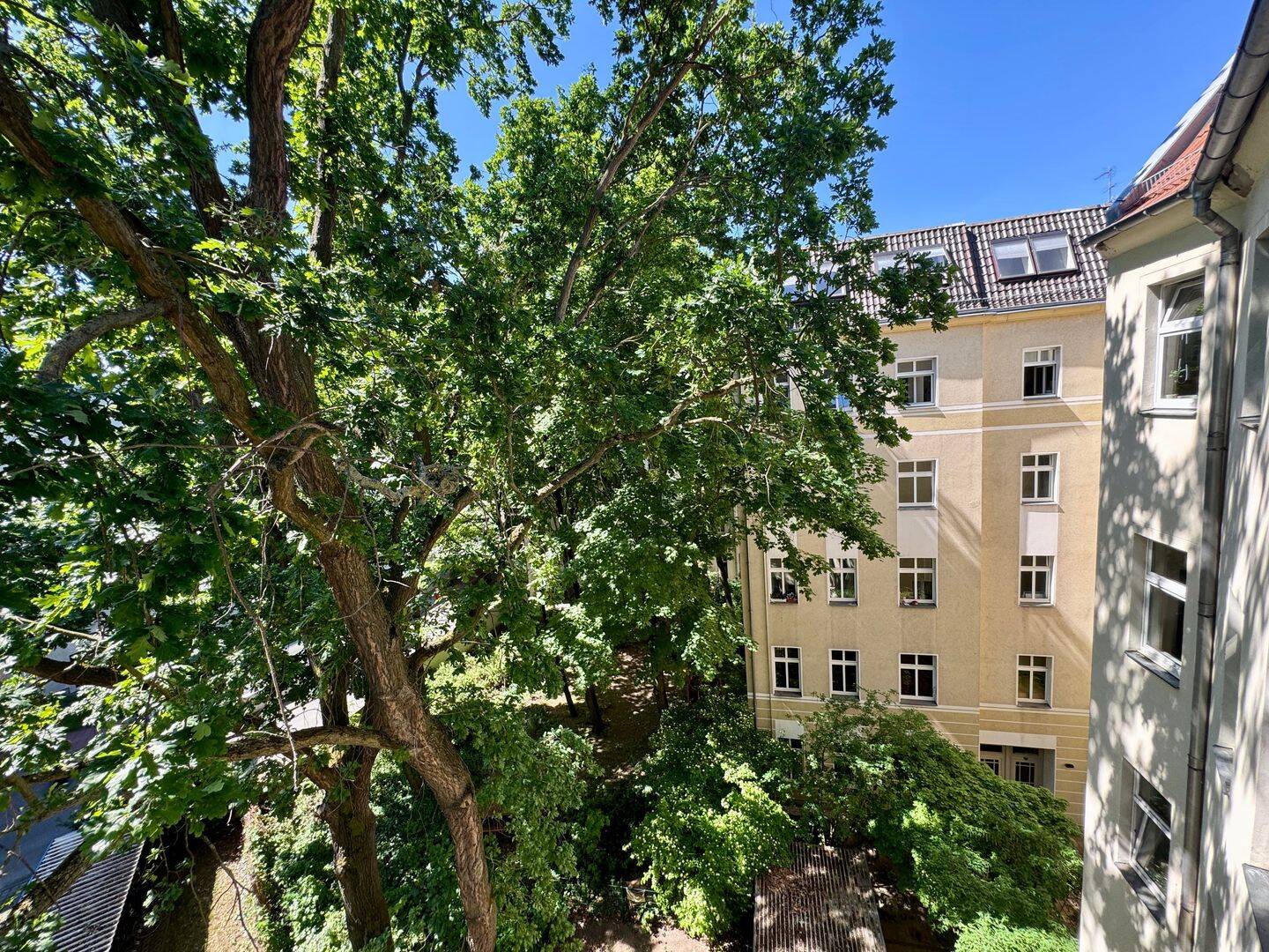 Viel Licht und Ruhe im Szeneviertel – Berlin – Vorschaubild 8