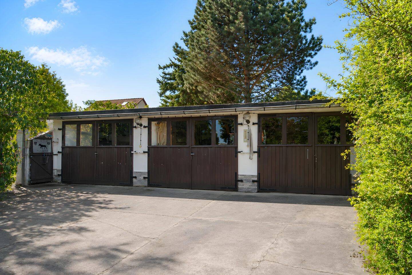 Sanieren oder neu bauen: Großes Grundstück mit Bungalow – Magdeburg – Vorschaubild 4