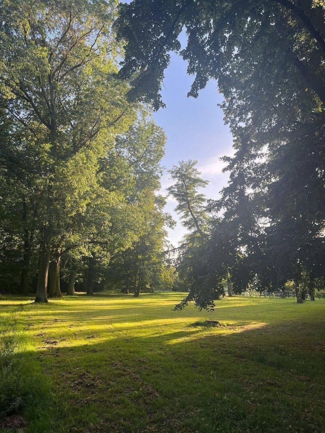*** Idyllisches Wohnen direkt im Park .. exklusiver ERSTBEZUG in der "Parkstadt Leipzig" *** WE B20.03 - ZEIT FÜR MEHR – Leipzig – Vorschaubild 8