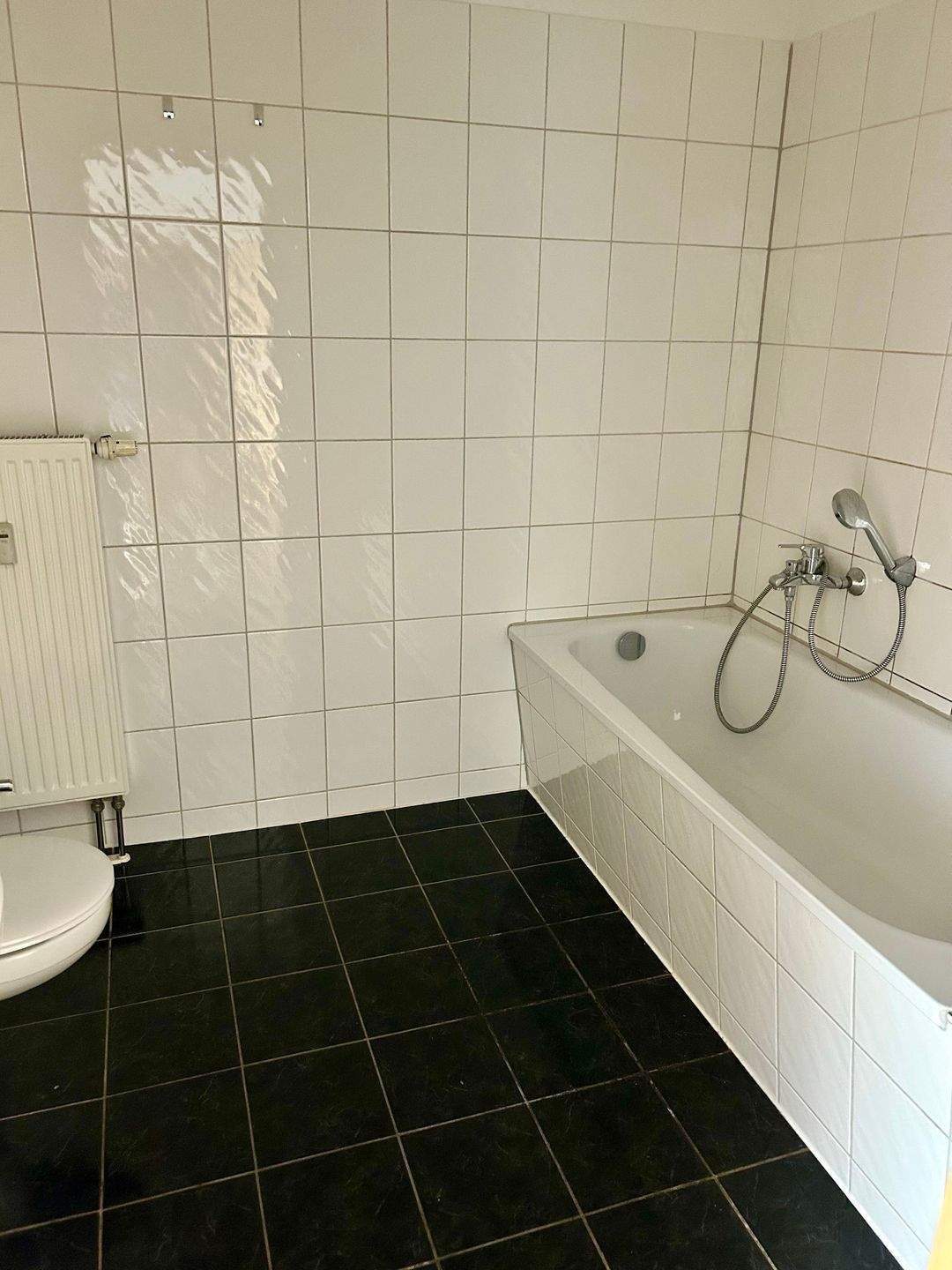 +++HELLE ALTBAU- WOHNUNG MIT BALKON FÜR EIGENNUTZER o. KAPITALANLEGER+++ – Chemnitz – Vorschaubild 6