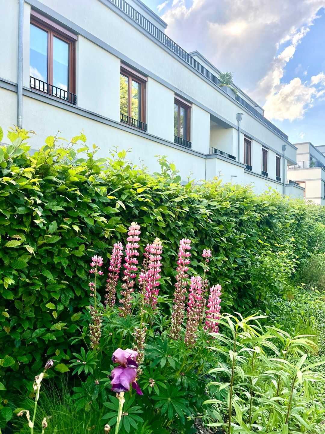 Moderne 2-Zimmer-Wohnung mit Loggia und Tiefgaragenstellplatz in Berlin-Hermsdorf – Berlin – Vorschaubild 3