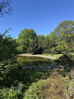 Bezugsfrei - Wohnen über den Dächern Eilbeks - mit Weitblick über den Jacobipark bis zum Hafen. – 22089 Hamburg – Vorschaubild 9