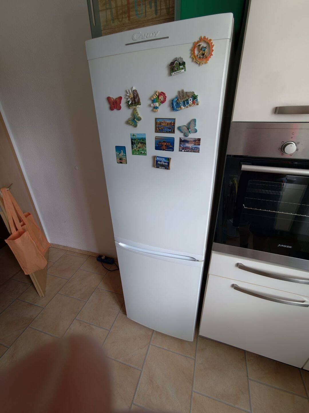 Frei ab 1.9.26 / Balkon + Bad mit Dusche / am Heimgarten – Chemnitz – Vorschaubild 6