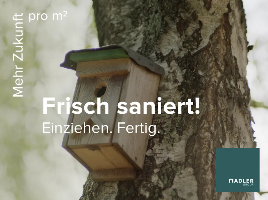 Wird für Sie Frisch Renoviert - Tolle 3-Zimmer-EG-Wohnung mit Tageslichtbad auf 61m².