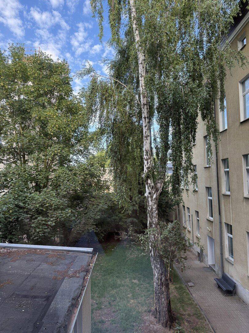 Sarnierte Altbau Wohnung (möbliert) WG 4-5 Personen – Magdeburg – Vorschaubild 4