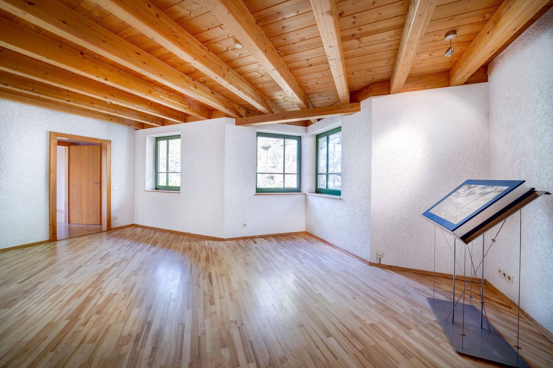 Haus in 78315 Radolfzell am Bodensee mit 335,9 m² kaufen