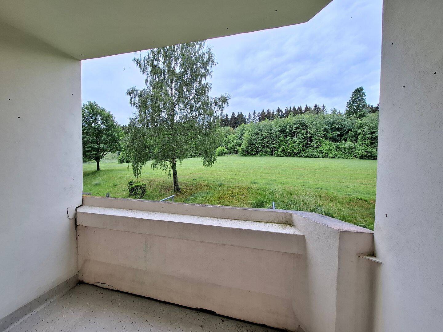 *** Ihr neues Zuhause wartet: renovierte 3-RWE mit Balkon ***