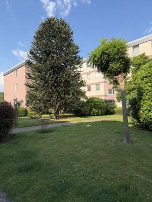 Moderne 3 Zimmer Eigentumswohnung mit Balkon in gepflegter Lage von Homberg/Grenze Moers – 47198 Duisburg – Vorschaubild 2