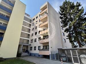 Gepflegte 3-Zimmer-Wohnung mit Balkon und Stellplatz in Regensburg-Reinhausen! – 93059 Regensburg – Vorschaubild 4