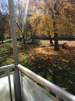 Kleine 2 Zimmer-Wohnung in Fermersleben mit Blick auf den ruhigen Innenhof! – 39122 Magdeburg – Vorschaubild 2
