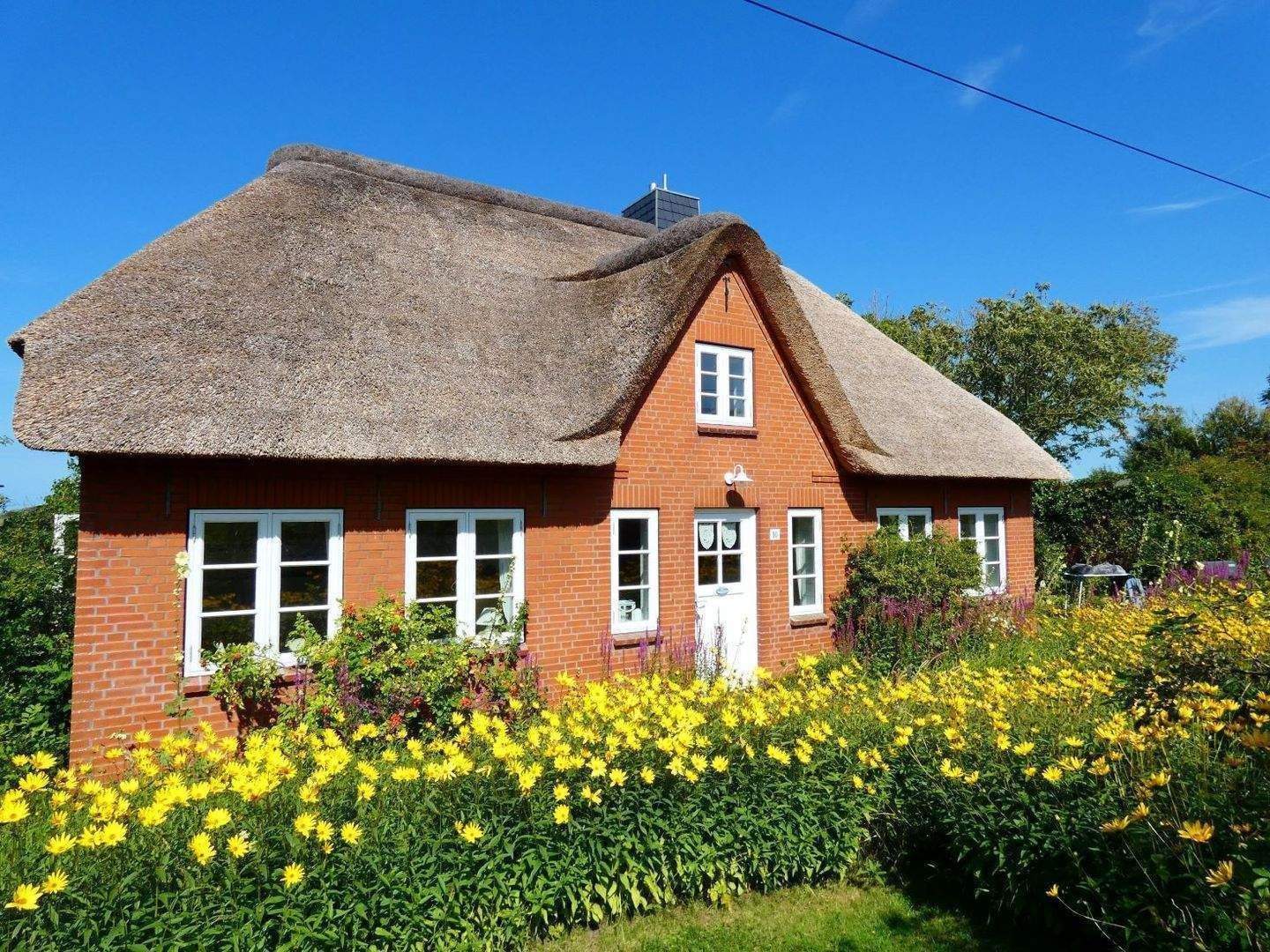 Reetdachhaus am Nordseedeich, virtuelle Besichtigung möglich – Westerhever – Vorschaubild 3