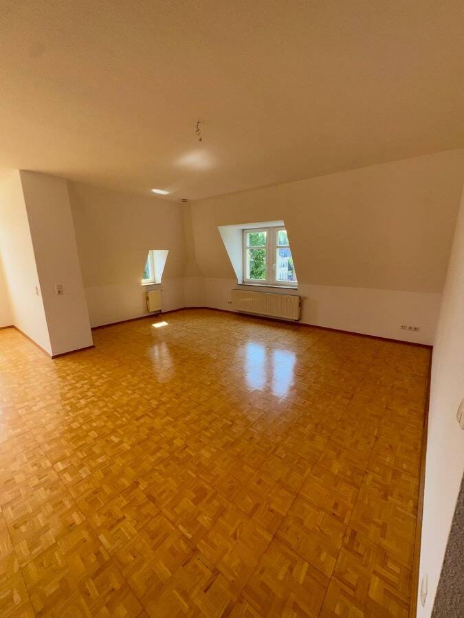 Stilvoll Wohnen * elbnah und großzügig * offene 1-Zi-Wohnung * Denkmalschutz – Dresden – Vorschaubild 4