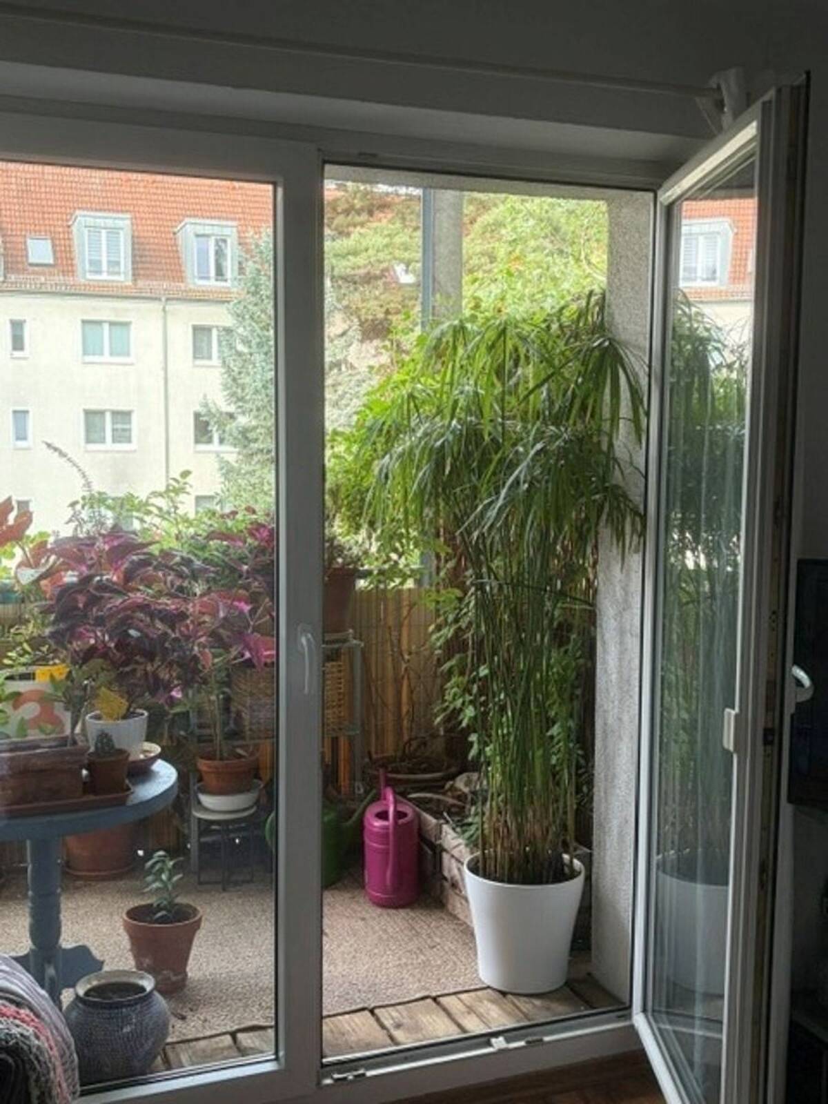 Kreative Leute aufgepasst, hübsche zwei Zimmer mit Wohnküche und Balkon! – 1237 Dresden – Bild 1 von 5