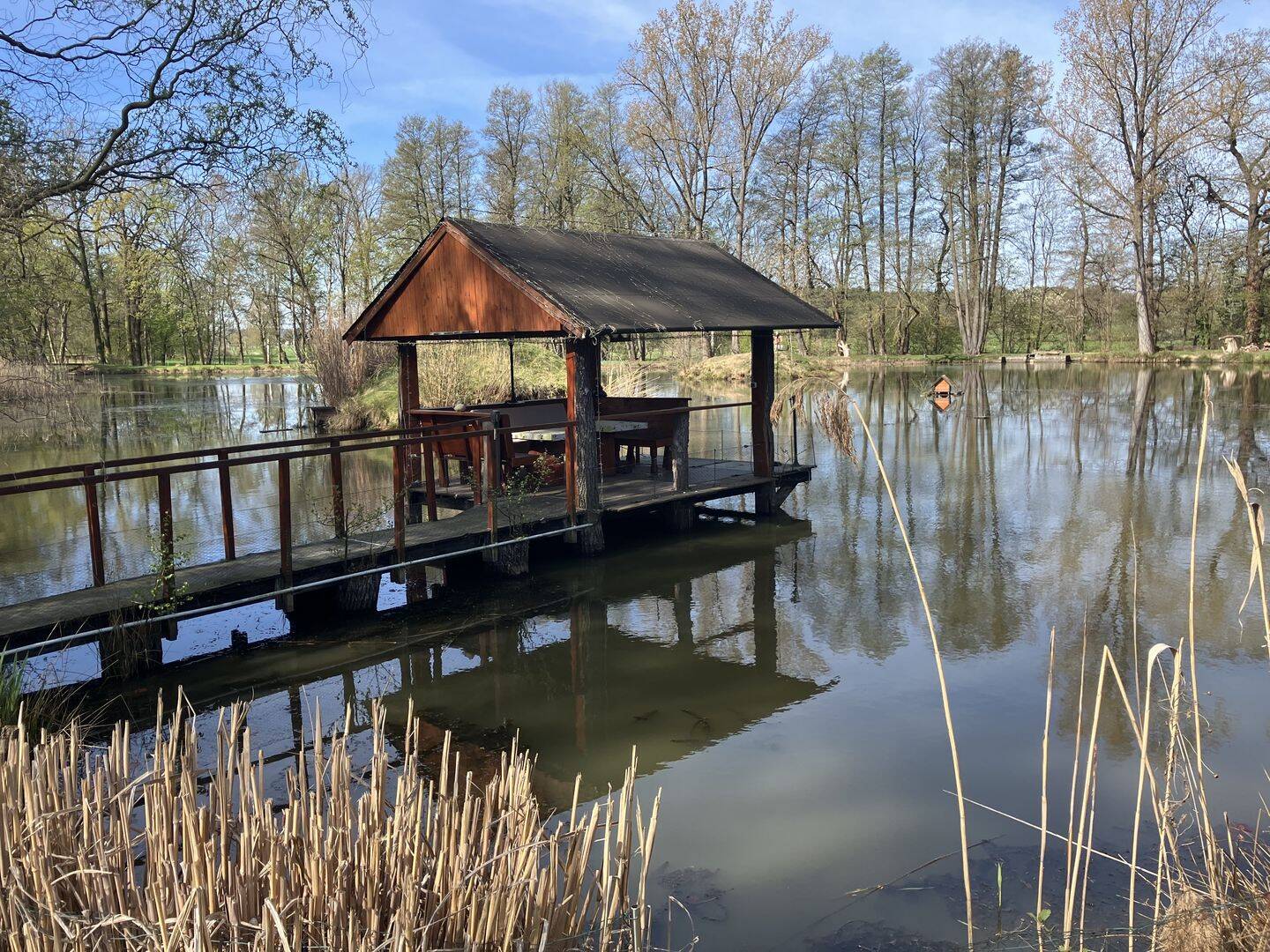 ***3 Häuser am See*** – Bad Schmiedeberg – Bild 1 von 8