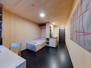 Aktion*: Möblierte Wohnung am Inselpark ideal für Studierende & Berufseinsteigende | Basic Bude – 21109 Hamburg – Vorschaubild 8