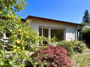 In ruhiger Grünlage: Renovierungsbedürftiger Reihenbungalow mit zwei Terrassen und Einliegeroption – 14165 Berlin – Vorschaubild 4