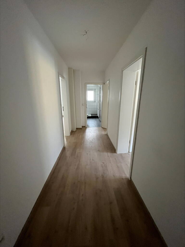 Hier schlägt besonders das Herz für Singles und Paare – Dortmund – Vorschaubild 7
