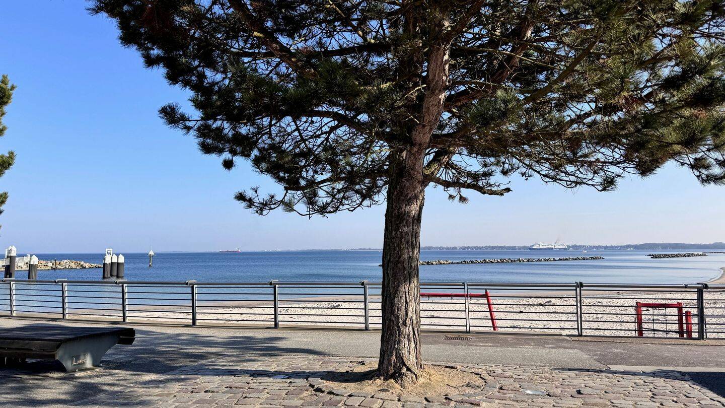 Meerblick pur im Olympiazentrum Schilksee – Kiel – Vorschaubild 3