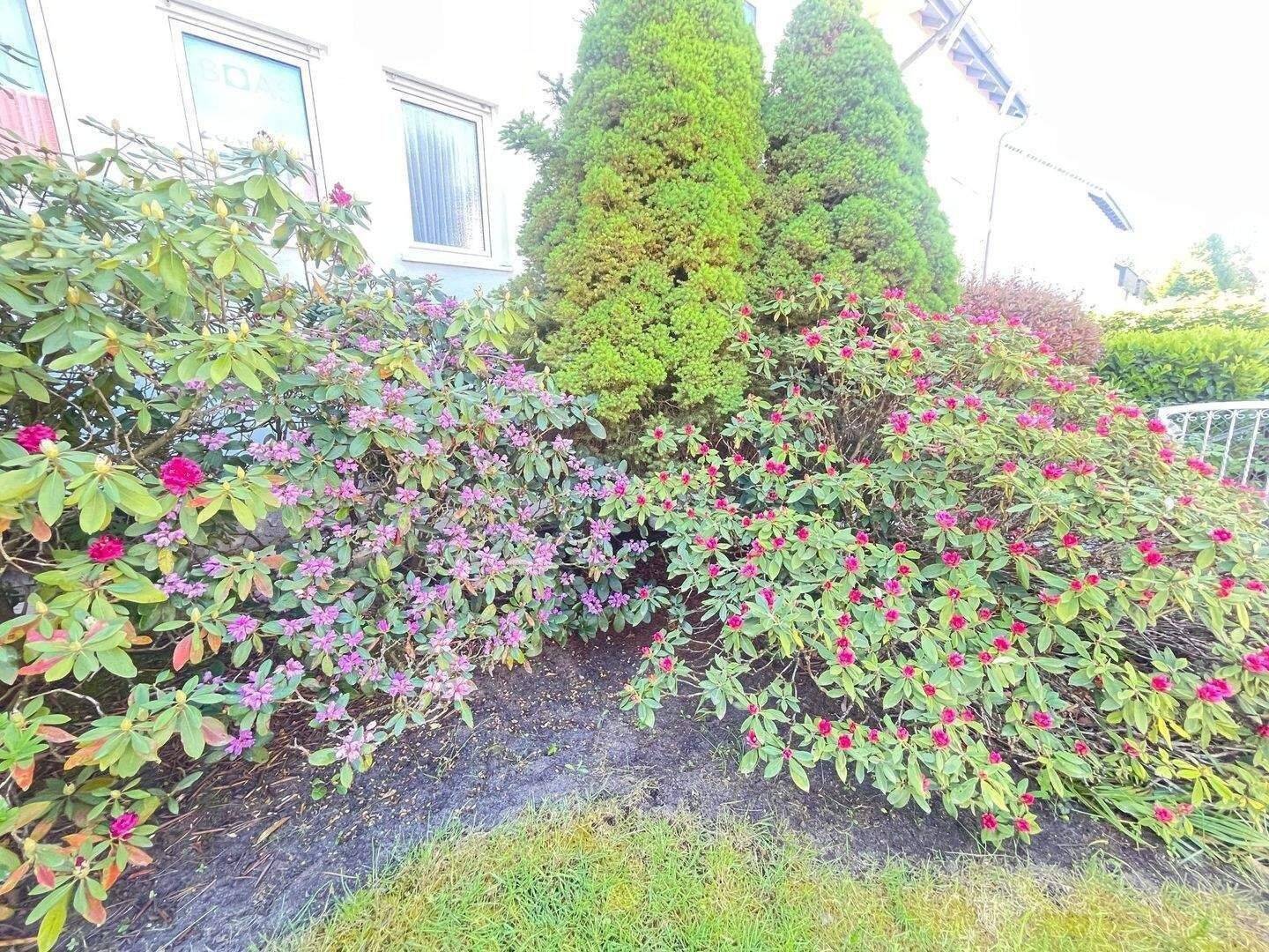 Genießen Sie den Sommer in Ihrem neuen großen Garten in Mögeldorf SOFORT FREI – Nürnberg – Vorschaubild 2