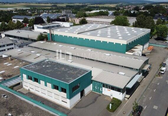 --PROVISIONSFREI-- ca. 2780 m² HALLENFLÄCHE | ZUR MIETE | RAMPEN | UKB: 10,0 m