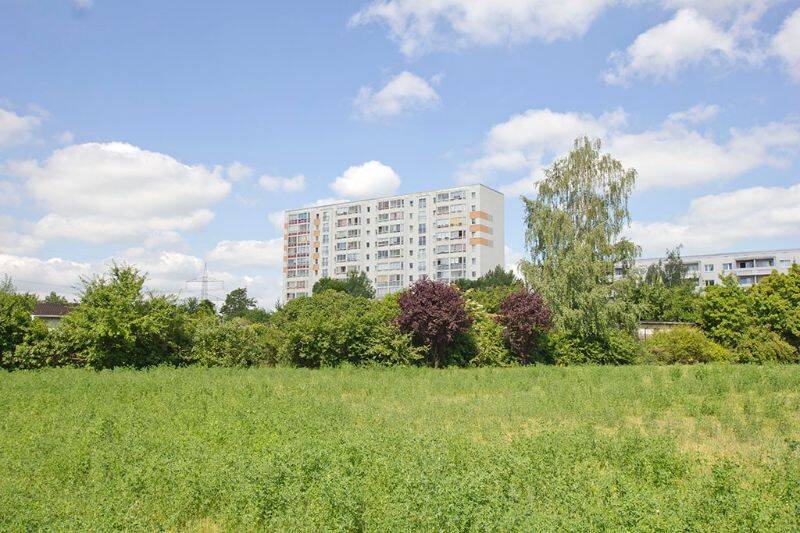Nachnutzer gesucht! 2-Raumwohnung auf der Fahrstuhletage mit Dusche... – Halle (Saale) – Vorschaubild 3