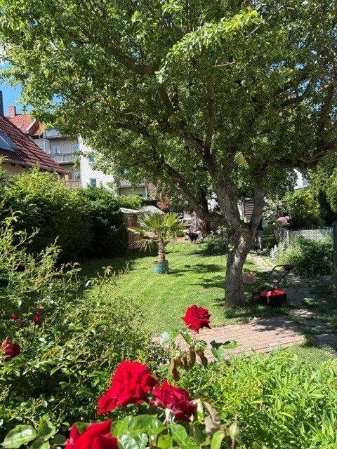 Attraktives Mehrfamilienhaus mit Entwicklungspotenzial im begehrten Erfurter Stadtteil Hochheim – Erfurt – Vorschaubild 8