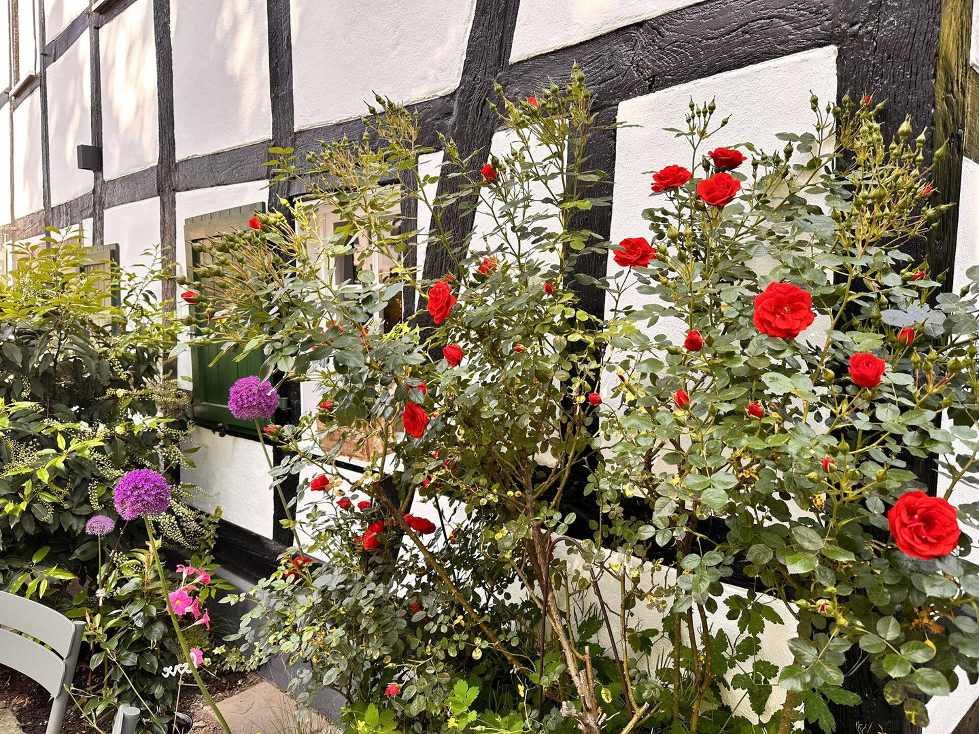 Haus in 51465 Bergisch Gladbach kaufen