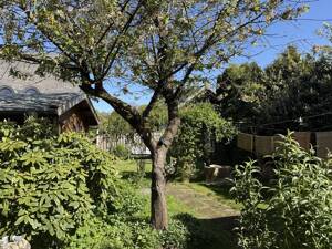 Vermietetes freistehendes Einfamilienhaus mit Garage und idyllischem Garten in gefragter Wohnlage – 28755 Bremen – Vorschaubild 4