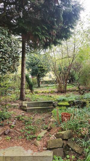 Reihenhaus mit Garten (z.Zt. vermietet) in ruhiger und bevorzugter Lage in Essen Stadtwald! – 45134 Essen – Vorschaubild 4