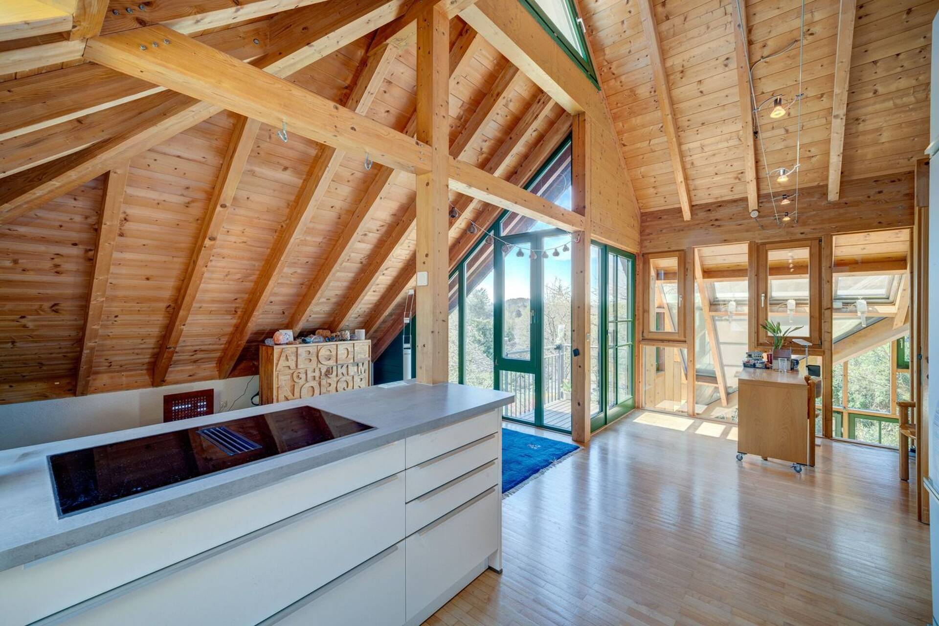 Haus in 78315 Radolfzell am Bodensee mit 335,9 m² kaufen